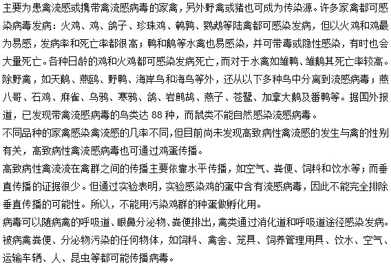 禽流感病毒有哪些傳染源？