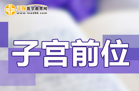 子宮前位是什么意思？