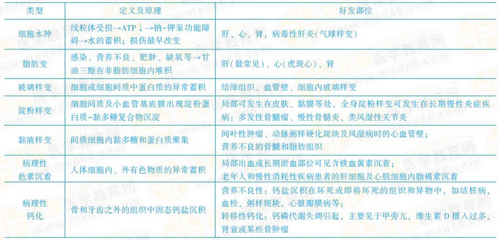 可逆性損傷的?？键c(diǎn) 