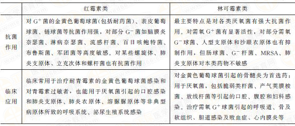 大環(huán)內酯類及林可霉素類抗生素 