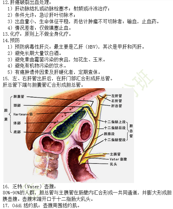 30個(gè)有關(guān)肝炎、膽囊炎相關(guān)考點(diǎn)匯總-臨床執(zhí)業(yè)醫(yī)師消化系統(tǒng)第九期！
