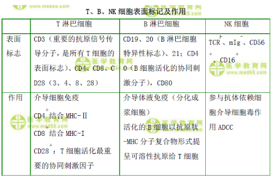 T、B、NK細胞表面標記及作用