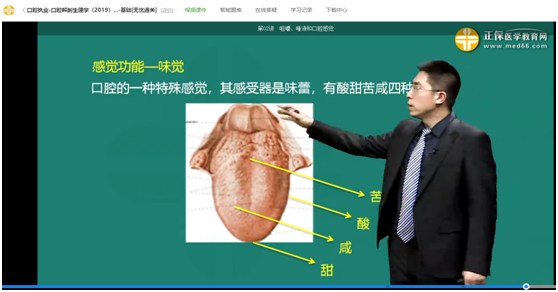 網(wǎng)絡輔導課程與口腔助理模擬試題對比