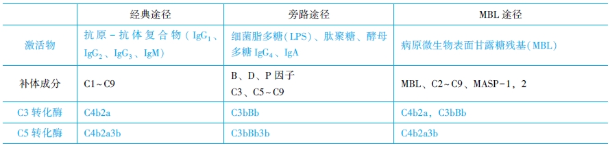 補體系統的激活途徑