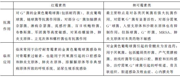 大環(huán)內(nèi)酯類(lèi)及林可霉素類(lèi)抗生素