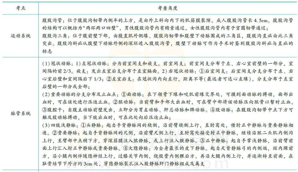 解剖學(xué)易錯考點(diǎn)2