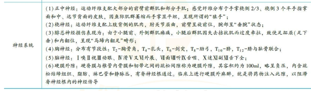 解剖學(xué)易錯考點(diǎn)3