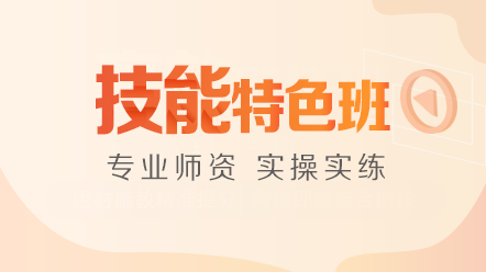 實(shí)踐技能技能特色班