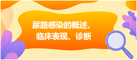 尿路感染的概述、臨床表現(xiàn)、診斷